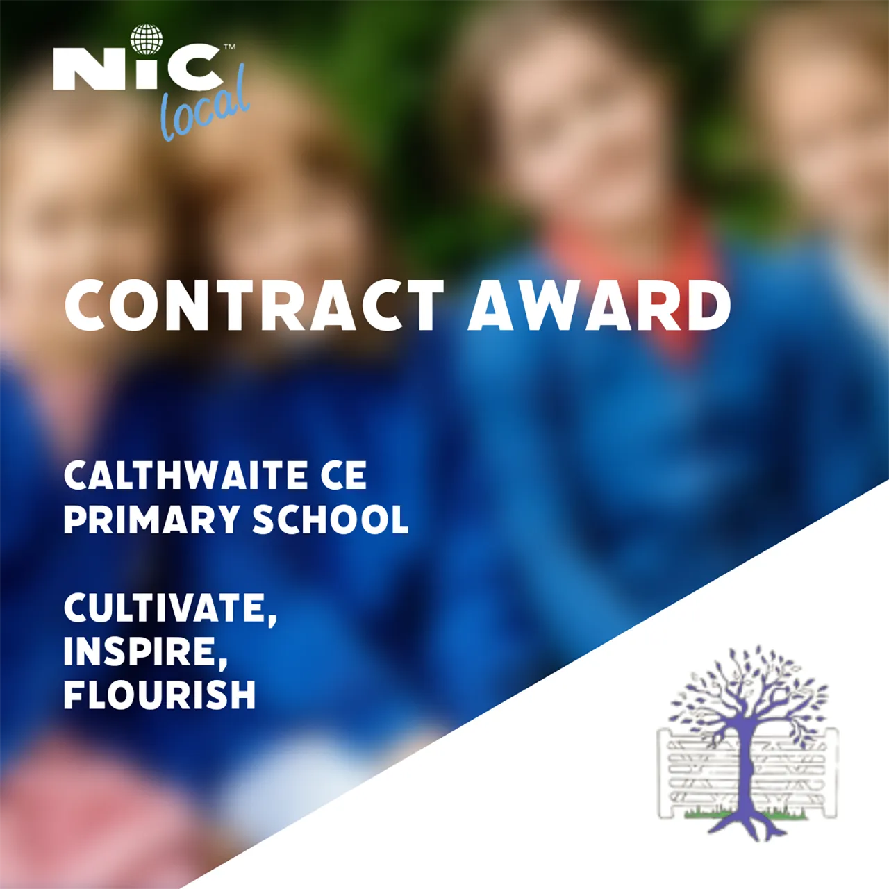 nic local contract award